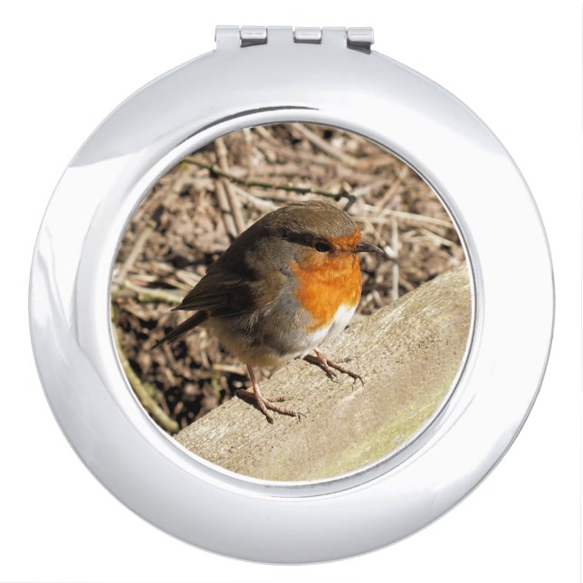 ROBIN MIRROR FOR MAKEUP (Front)