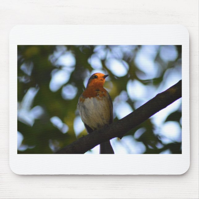 Robin Mouse Pad (Front)