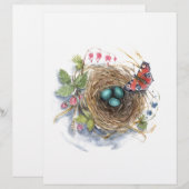 Robin Nest (Front/Back)
