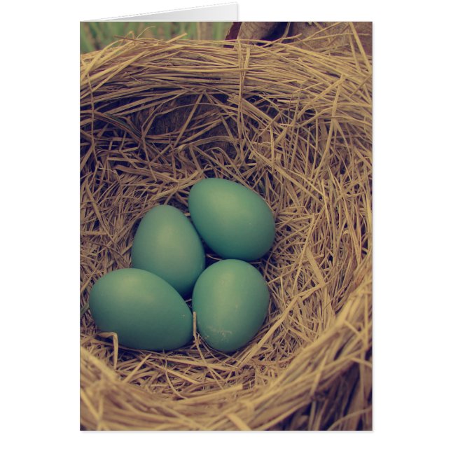 Robin Nest and Eggs Cards (Front)