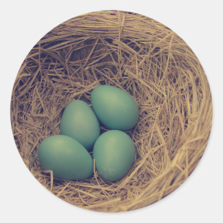 Robin Nest and Eggs Classic Round Sticker
