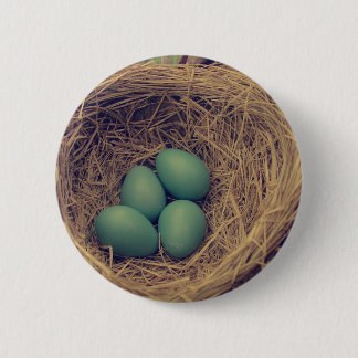 Robin Nest and Eggs Pinback Button