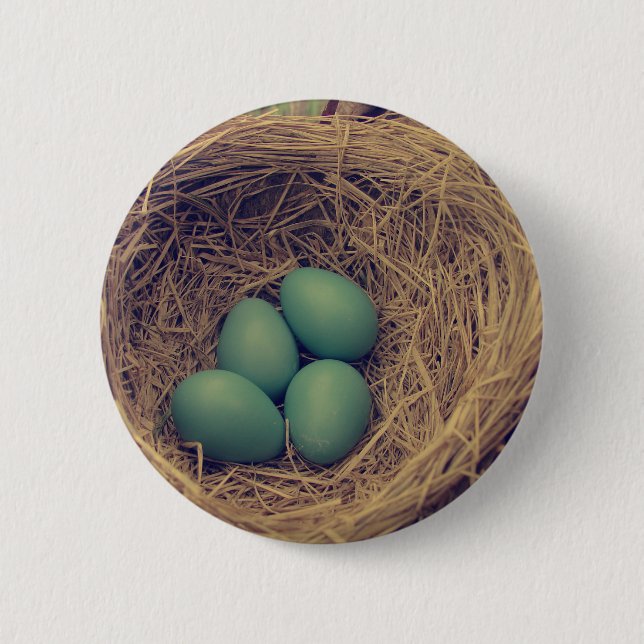 Robin Nest and Eggs Pinback Button (Front)