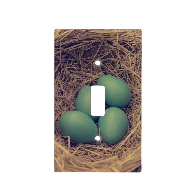 Robin Nest Vintage Light Switch Cover (Front)