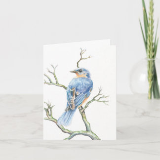 Robin Note Card