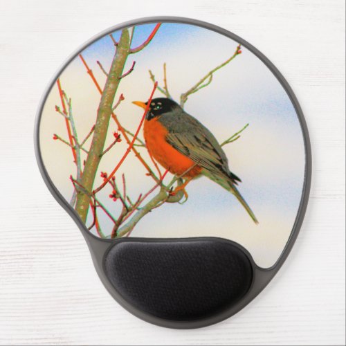 Robin of Beauty Gel Mouse Pad