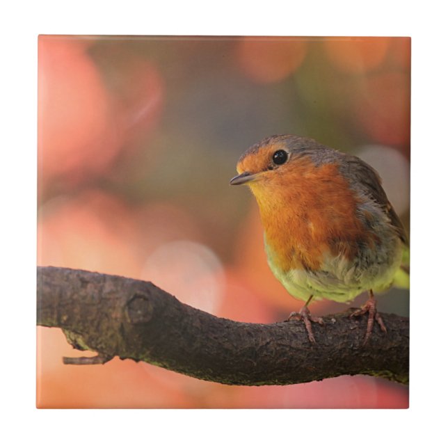 Robin on a branch ceramic tile (Front)