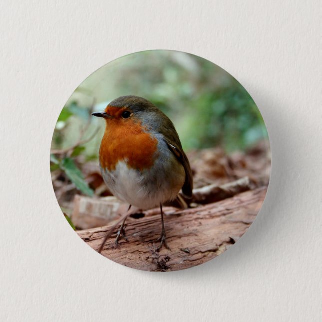 Robin on a limb button (Front)