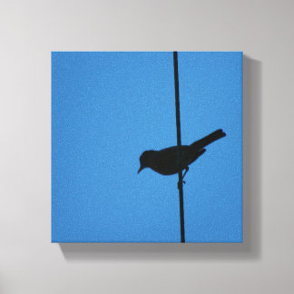 Robin on a wire canvas print