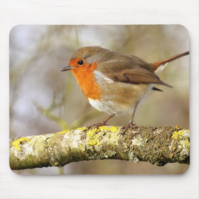 Robin on Branch Mouse Pad (Front)
