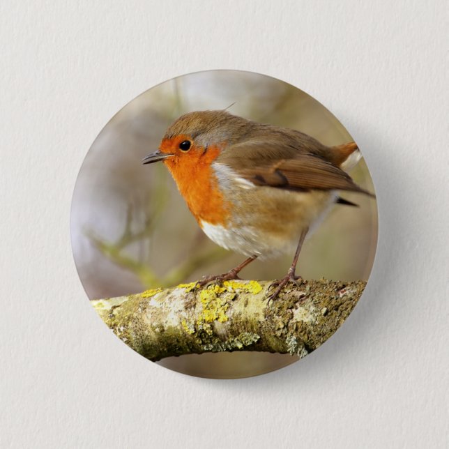 Robin on Branch Pinback Button (Front)