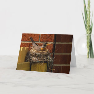 Robin on Nest Thank You Card