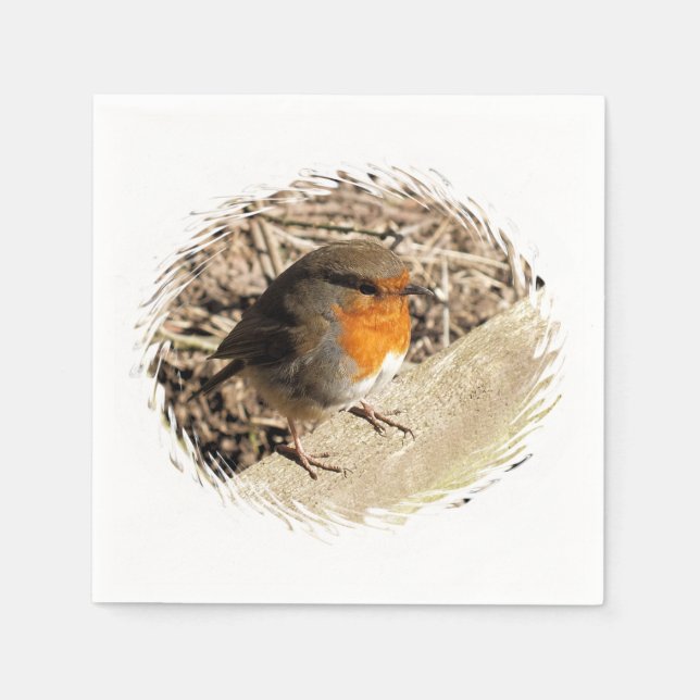 ROBIN PAPER NAPKINS (Front)