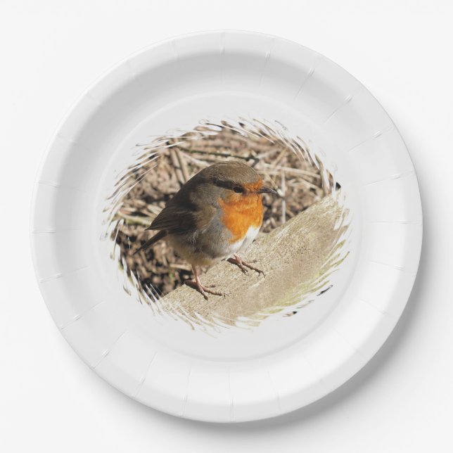 ROBIN PAPER PLATES (Front)