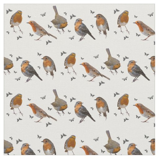 Robin Party Fabric (choose colour)