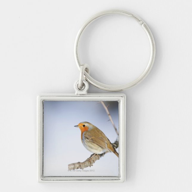 Robin perched on a branch in winter keychain (Front)