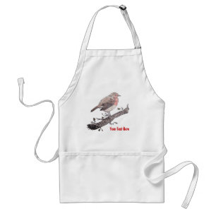 Robin perched on ivy leaf wild bird adult apron