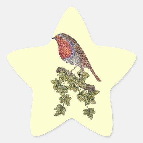 Robin perched on ivy leaf wild birds star sticker