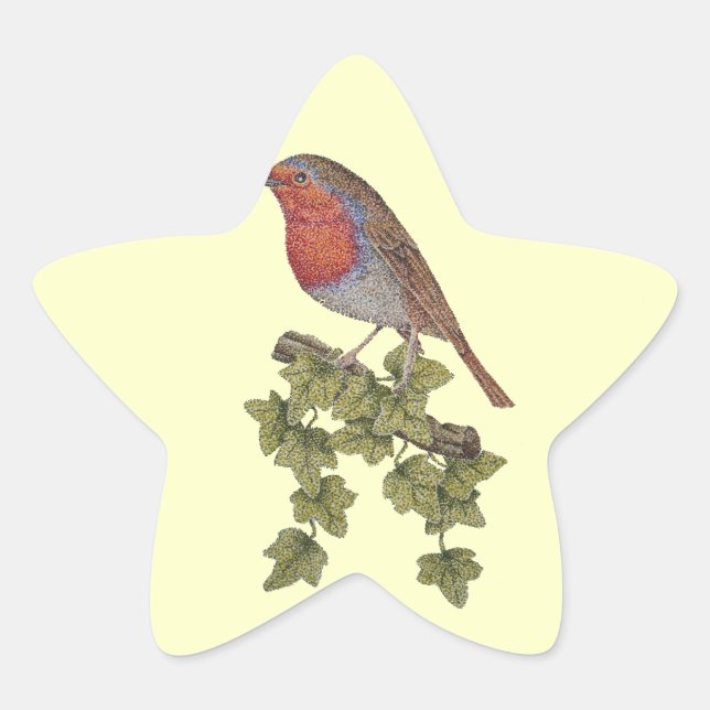 Robin perched on ivy leaf wild birds star sticker (Front)