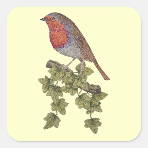 Robin perched on ivy leafs wild birds square sticker