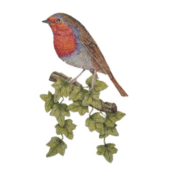 Robin Perched On Ivy Leafs Wild Birds Wrapping Paper by artoriginals at Zazzle