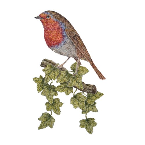 Robin perched on ivy leafs wild birds wrapping paper