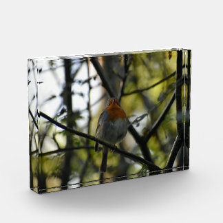 Robin photo block