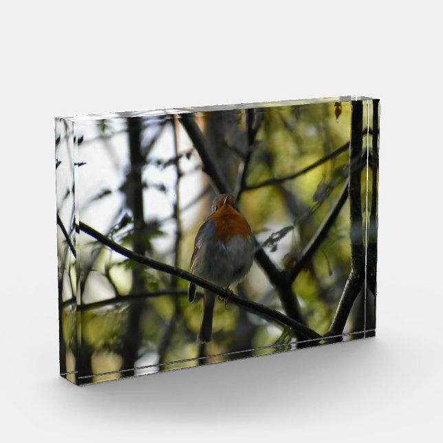 Robin  photo block (Left)