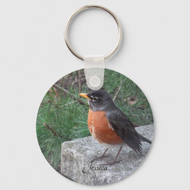 Robin Photo Personalized Handwritten Name Keychain (Front)