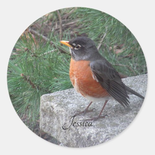 Robin Photo Personalized Name  Classic Round Sticker
