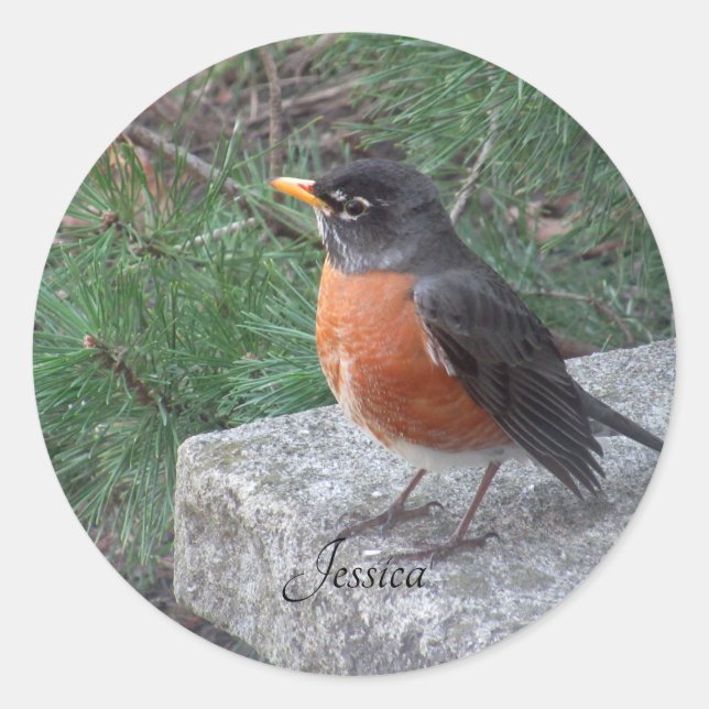 Robin Photo Personalized Name  Classic Round Sticker (Front)