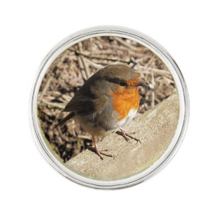 ROBIN PIN