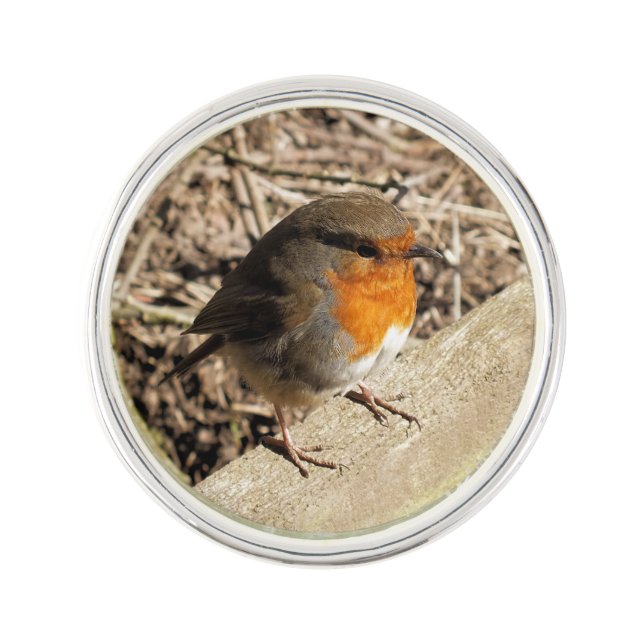 ROBIN PIN (Front)