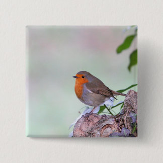 Robin Pinback Button