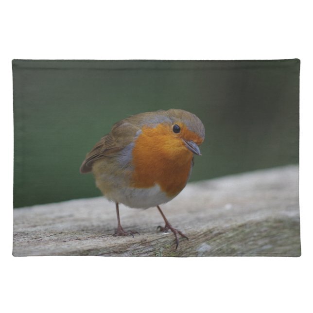 Robin Placemat (Front)