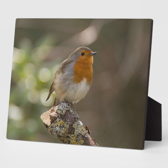 Robin Plaque (Side)