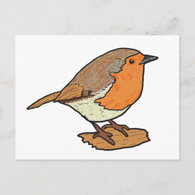 Robin Postcard (Front)