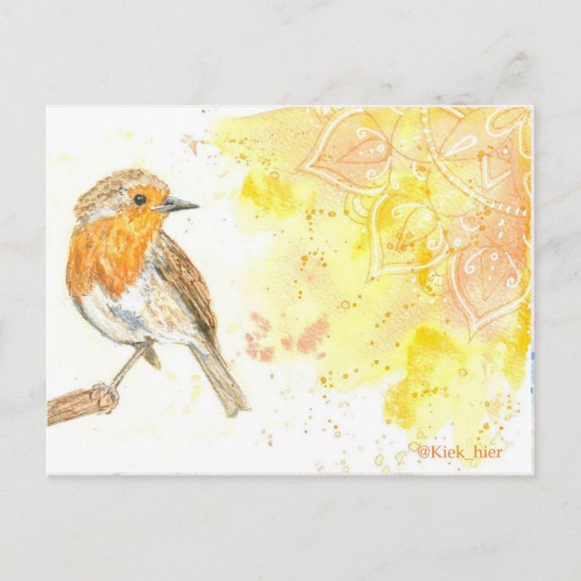 robin postcard (Front)