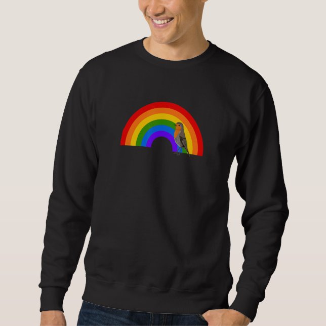 Robin Rainbow Bird Bird Birdwatcher Animal Biologi Sweatshirt (Front)