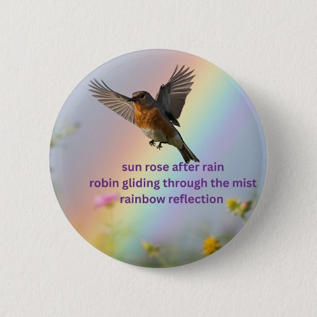 Robin Rainbow Button (Front)