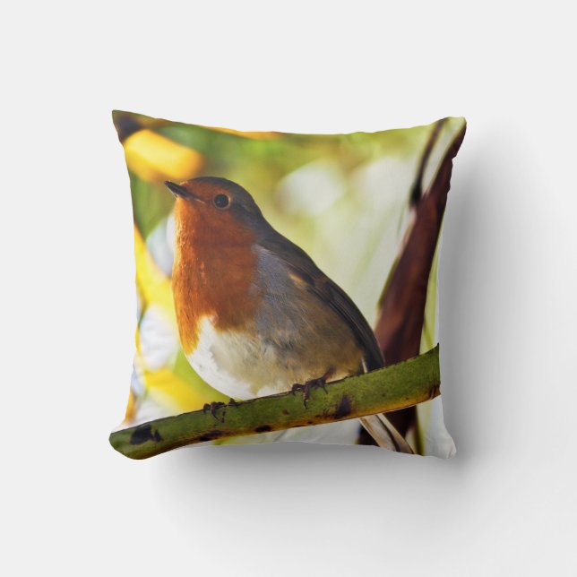 Robin red breast bird 2 throw pillow (Front)