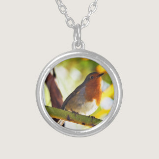 Robin red breast bird silver plated necklace