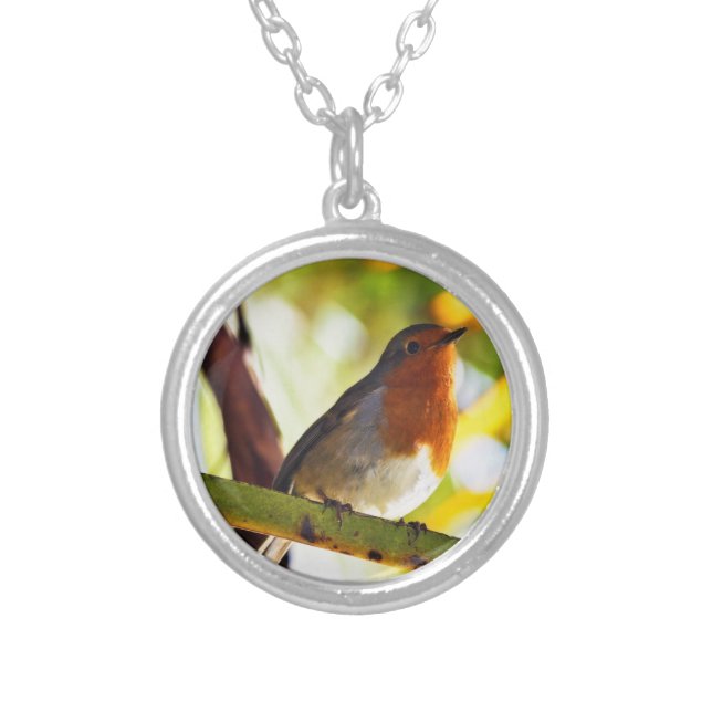 Robin red breast bird silver plated necklace (Front)