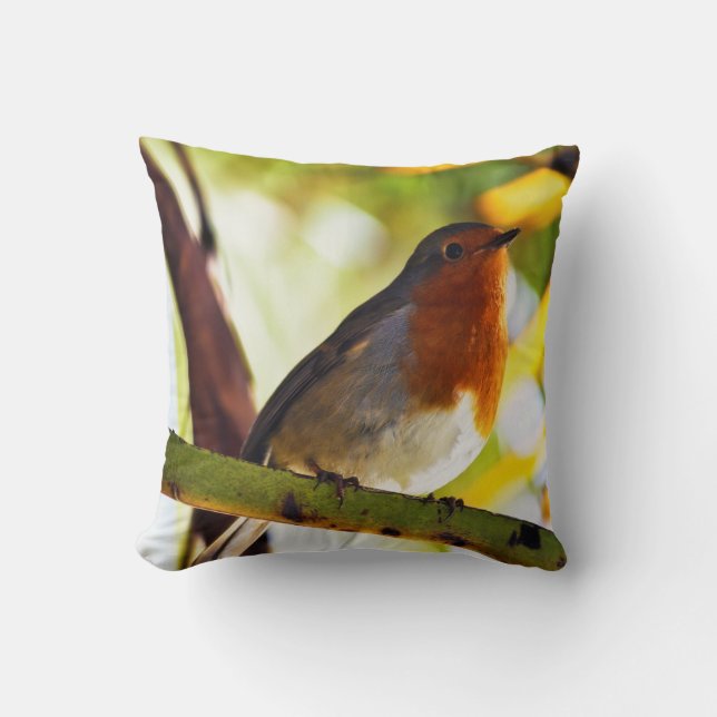 Robin red breast bird throw pillow (Front)