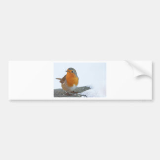 Robin Red Breast Bumper Sticker