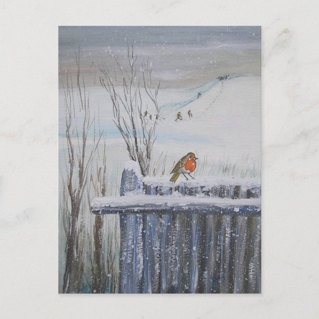 Robin Red Breast Postcard (Front)