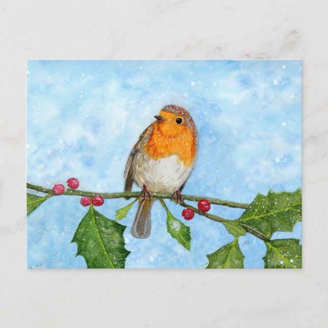 Robin Red Breast Watercolour Painting Postcard (Front)