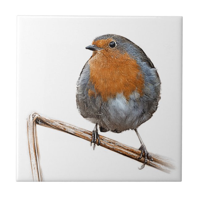 Robin red breast wildlife bird ceramic tile (Front)