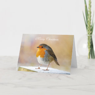 Robin Redbreast Christmas Card