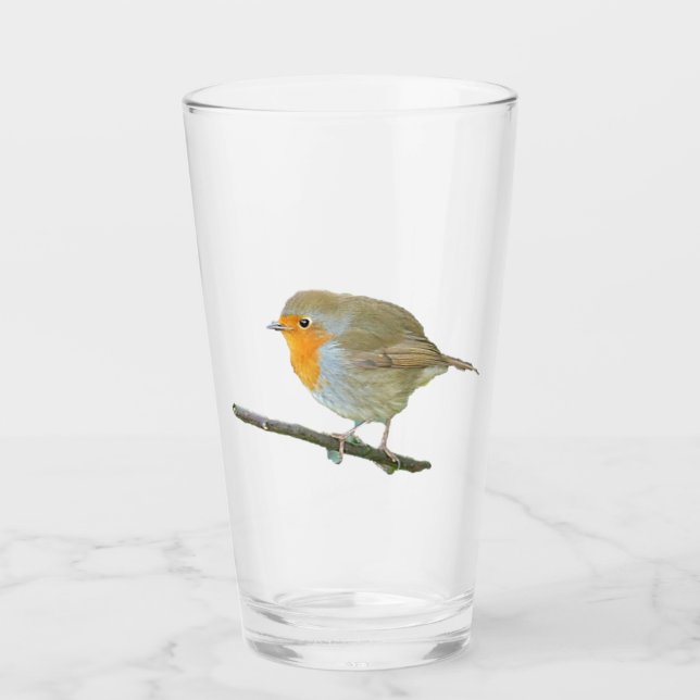 Robin Redbreast Glass Tumbler (Front)